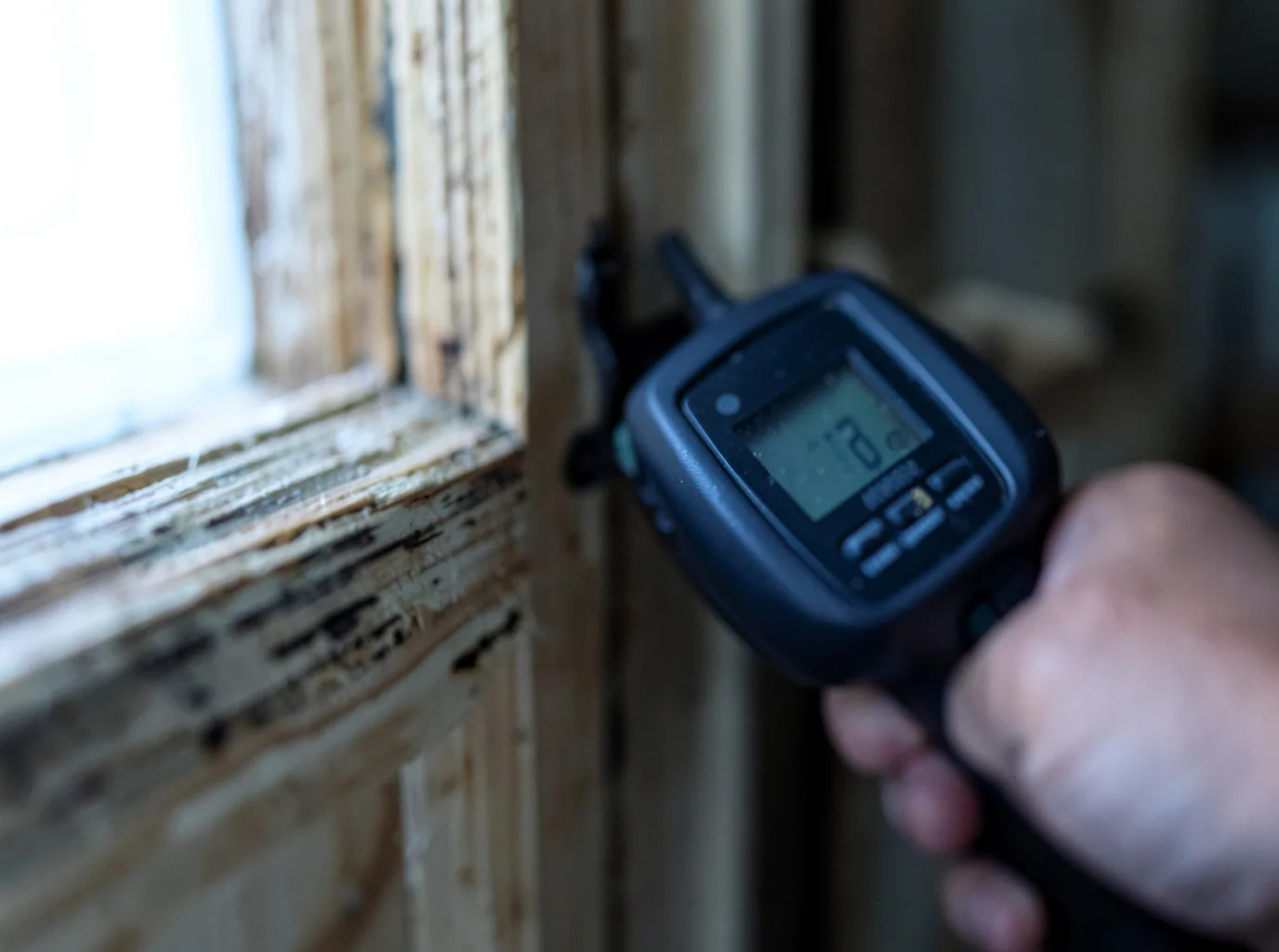 Moisture Inspection And Documentation in Helenwood, TN